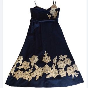 Anthropologie Odille Navy Blue A-line Dress Size 6